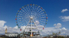 50m摩天輪 Ferris Wheels